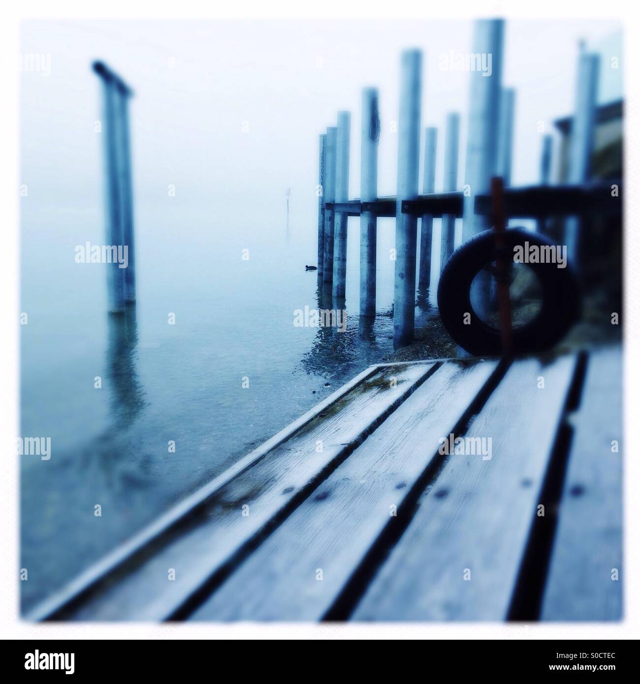 L'hiver le lac de Constance - Image de stock capturée avec un smartphone