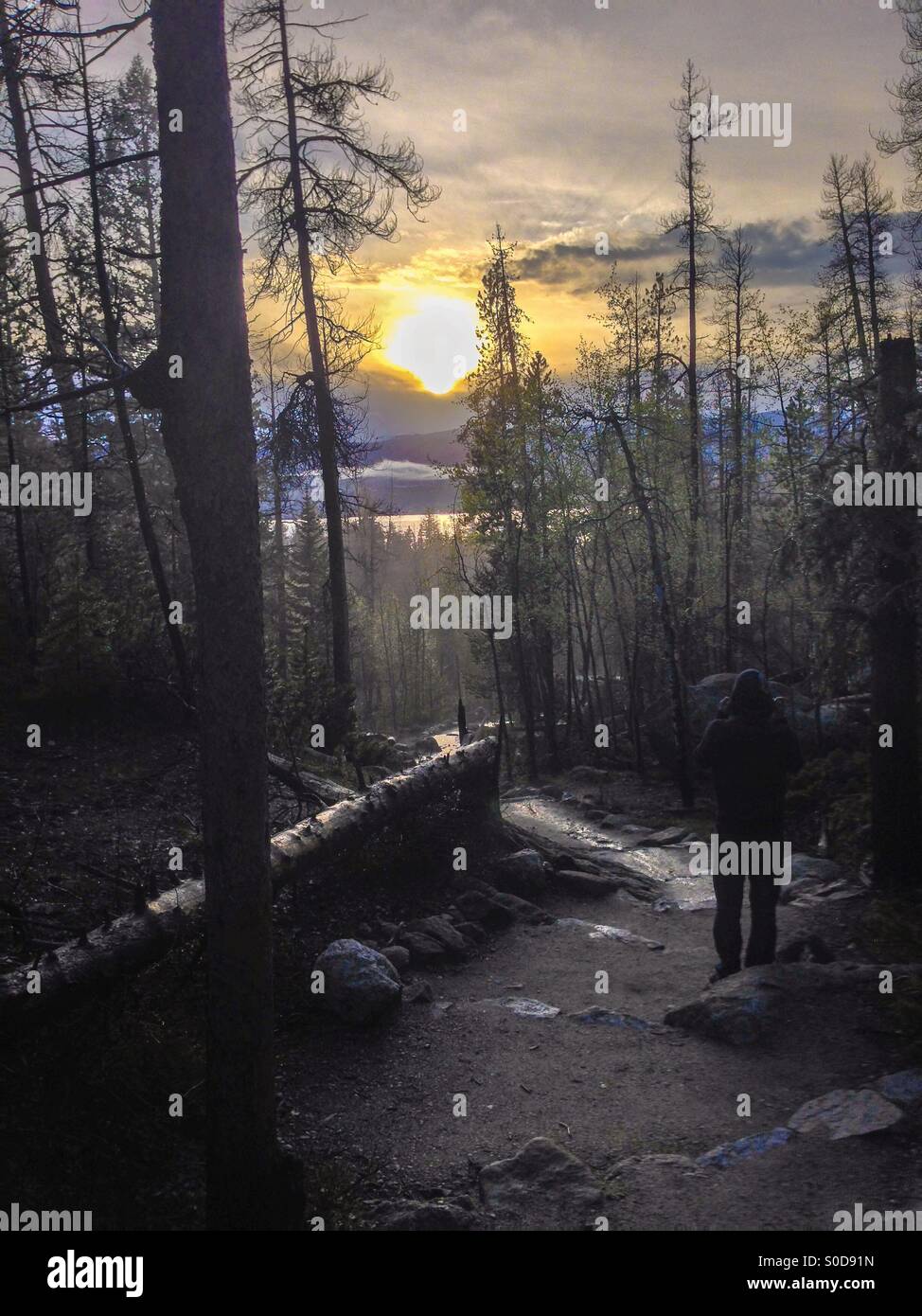 Le Colorado Trail coucher du soleil Banque D'Images