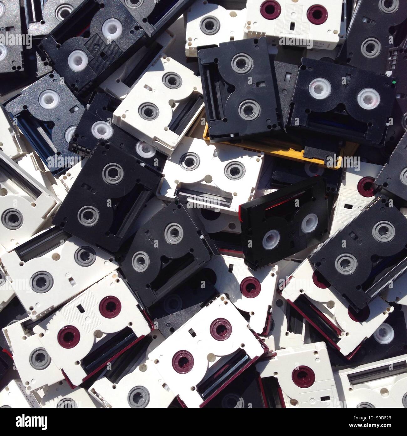 Les médias traditionnels : ancienne mini DV, cassettes vidéo numérique Banque D'Images