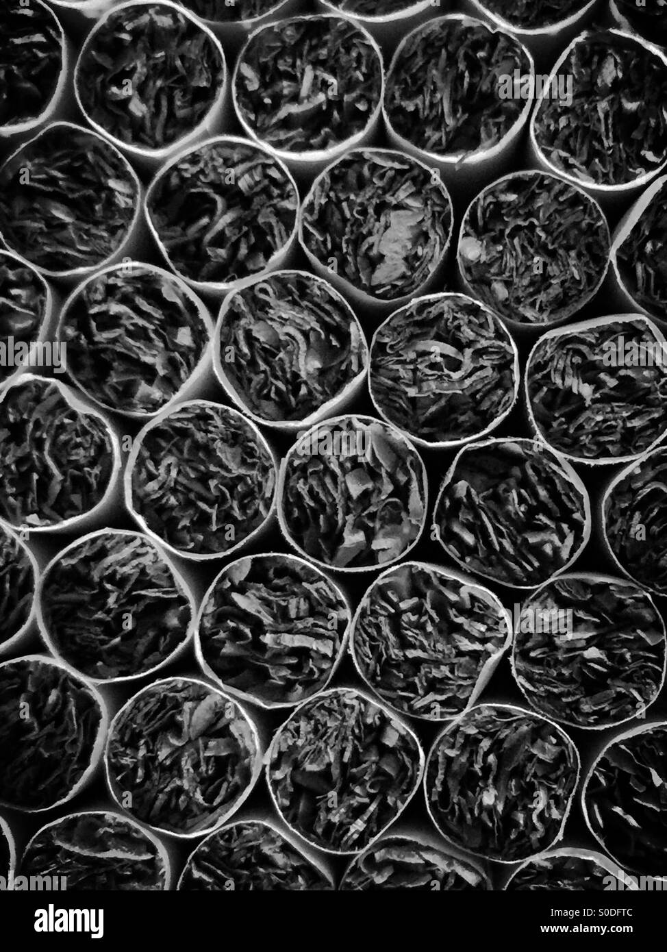 Cigarette en noir et blanc. Banque D'Images