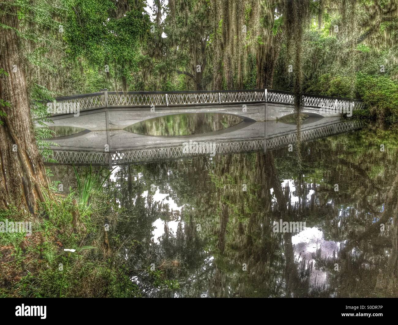 Pont bayou Plantation Banque D'Images