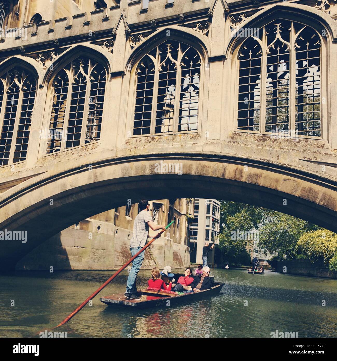 Promenades en barque sur la rivière Cam, Cambridge. United Kingdom Banque D'Images
