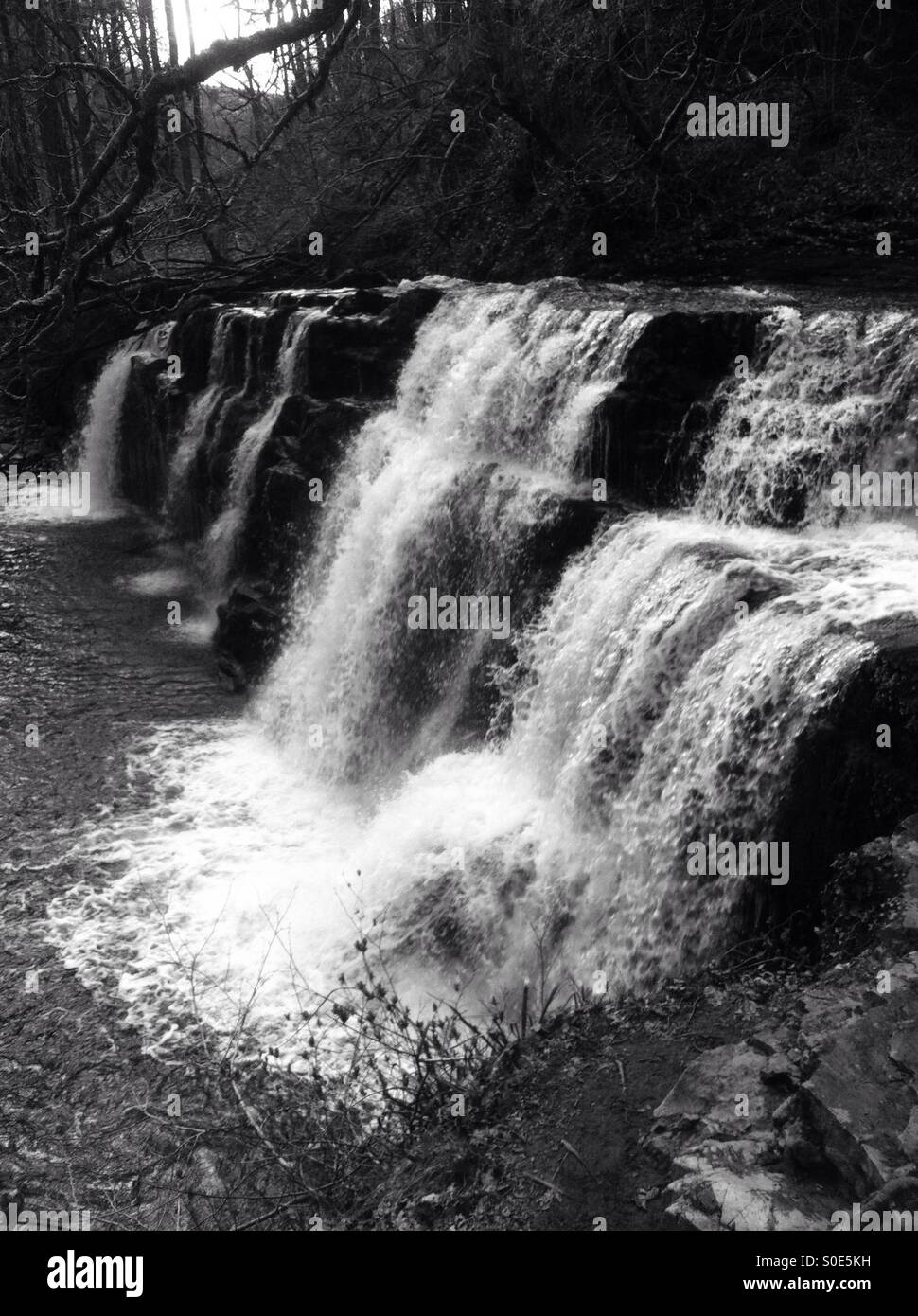 Photo en noir et blanc d'Pannwr Sgwd y cascade, Brecon. Banque D'Images