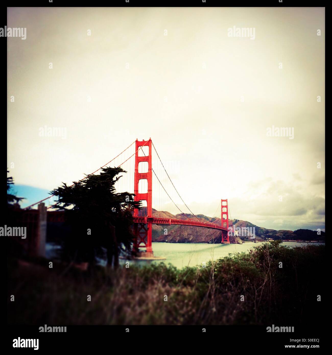Le Golden Gate Bridge. San Francisco, California, USA - Image de stock capturée avec un smartphone