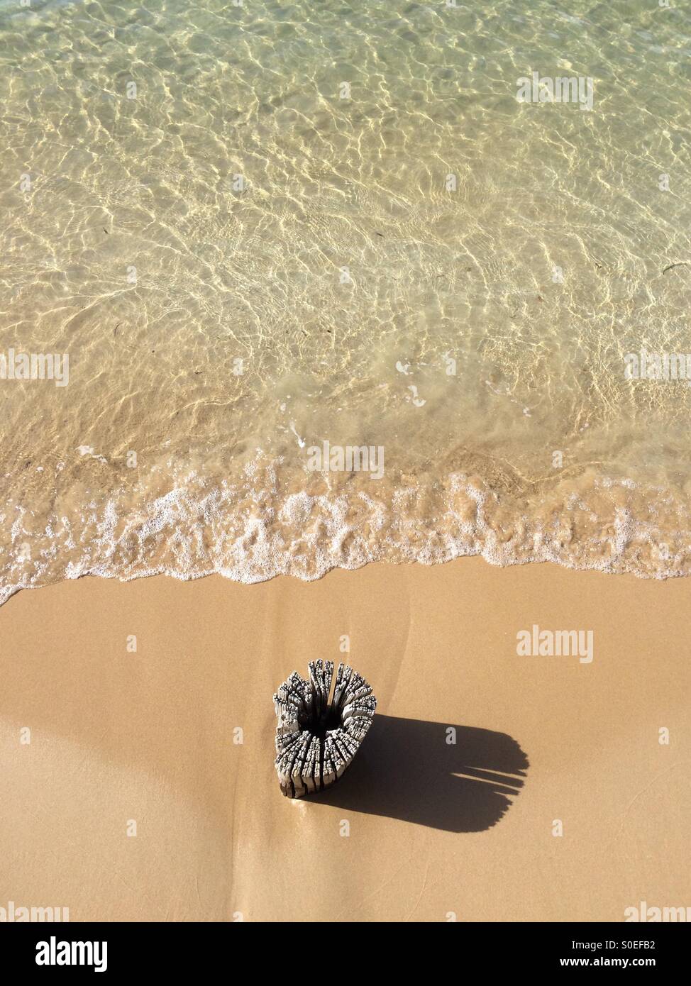 Souche en bois à la plage - vue aérienne Banque D'Images