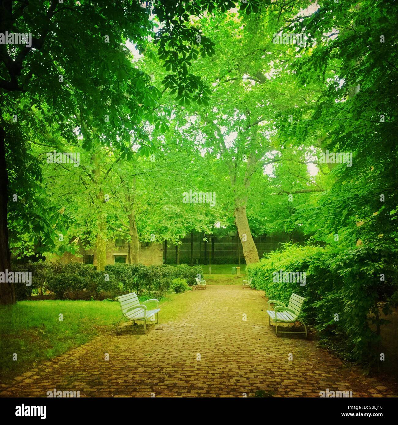Green verdoyant parc de Bercy avec chaussée de pierre, bancs, Arbres et feuillage frais du printemps à Paris, France. Superposition de texture vintage. Banque D'Images