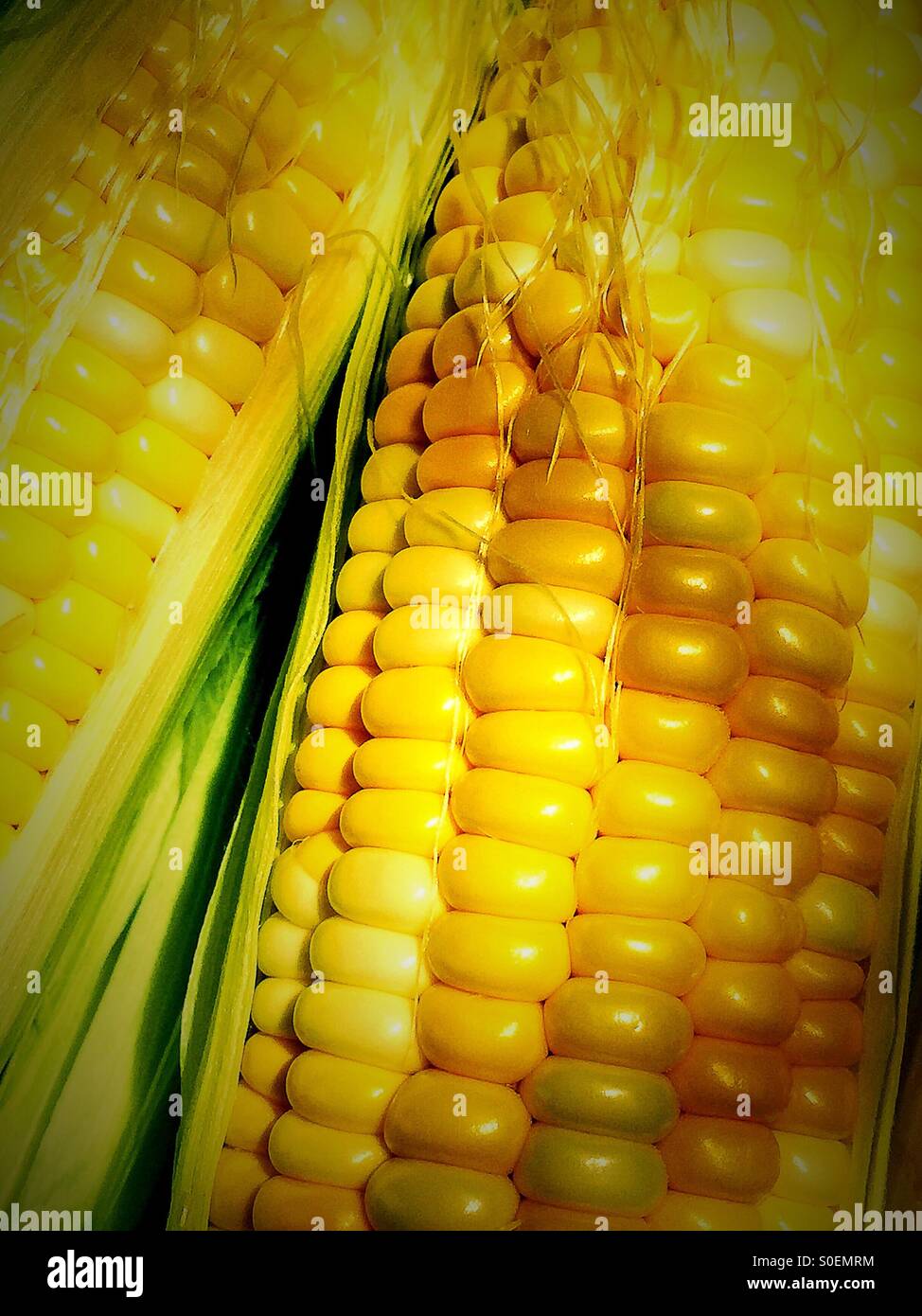 Épi de maïs sucré frais - Image de stock capturée avec un smartphone