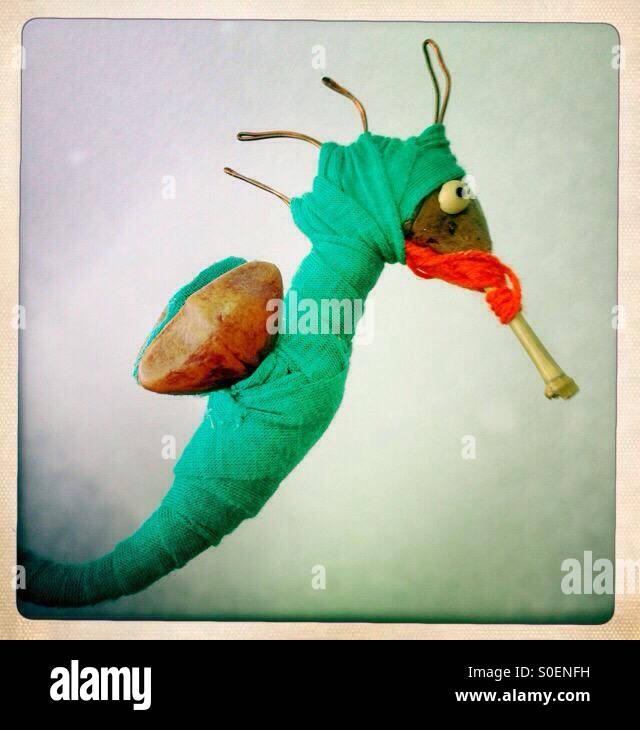 Hippocampe - Image de stock capturée avec un smartphone