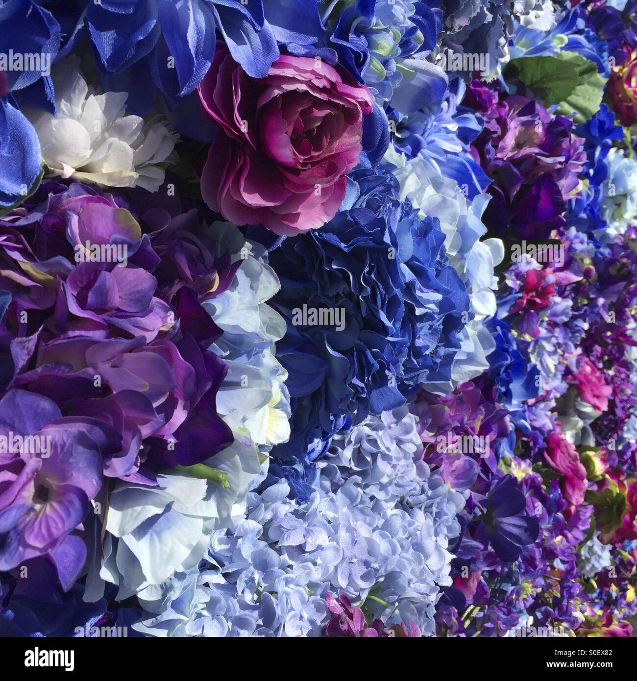 Mur de fleurs artificielles colorées Banque D'Images