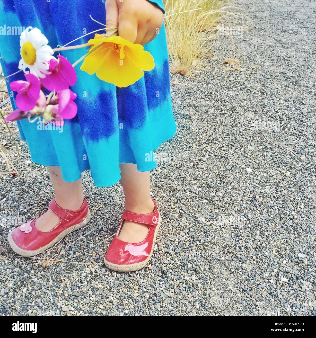 Une petite fille en rouge chaussures détient un petit bouquet de fleurs sauvages. Banque D'Images