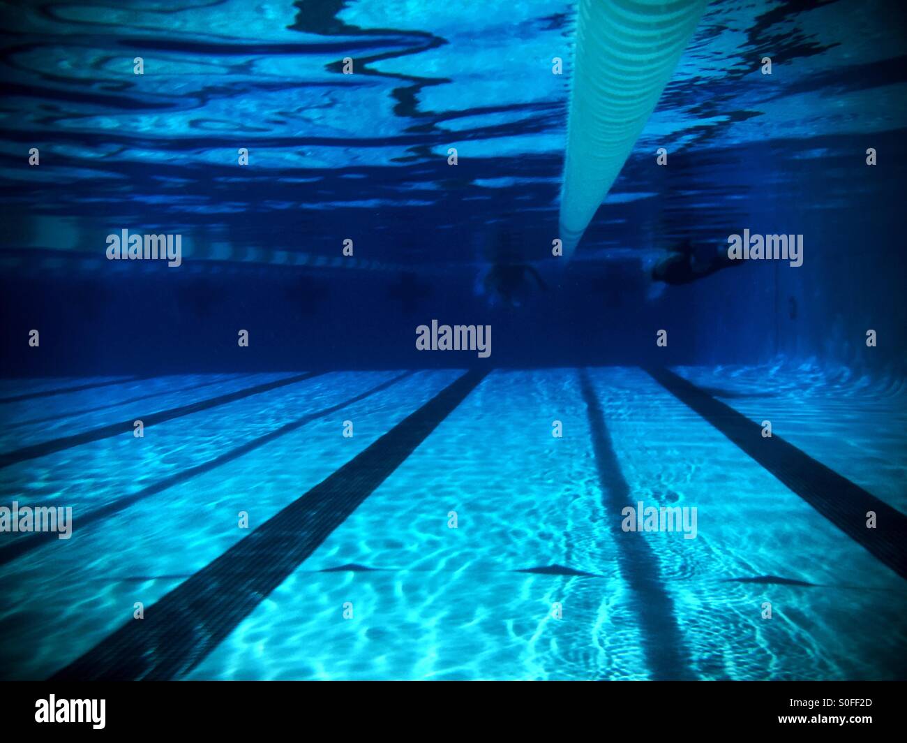 Longueur de la piscine olympique Banque de photographies et d'images à  haute résolution - Alamy