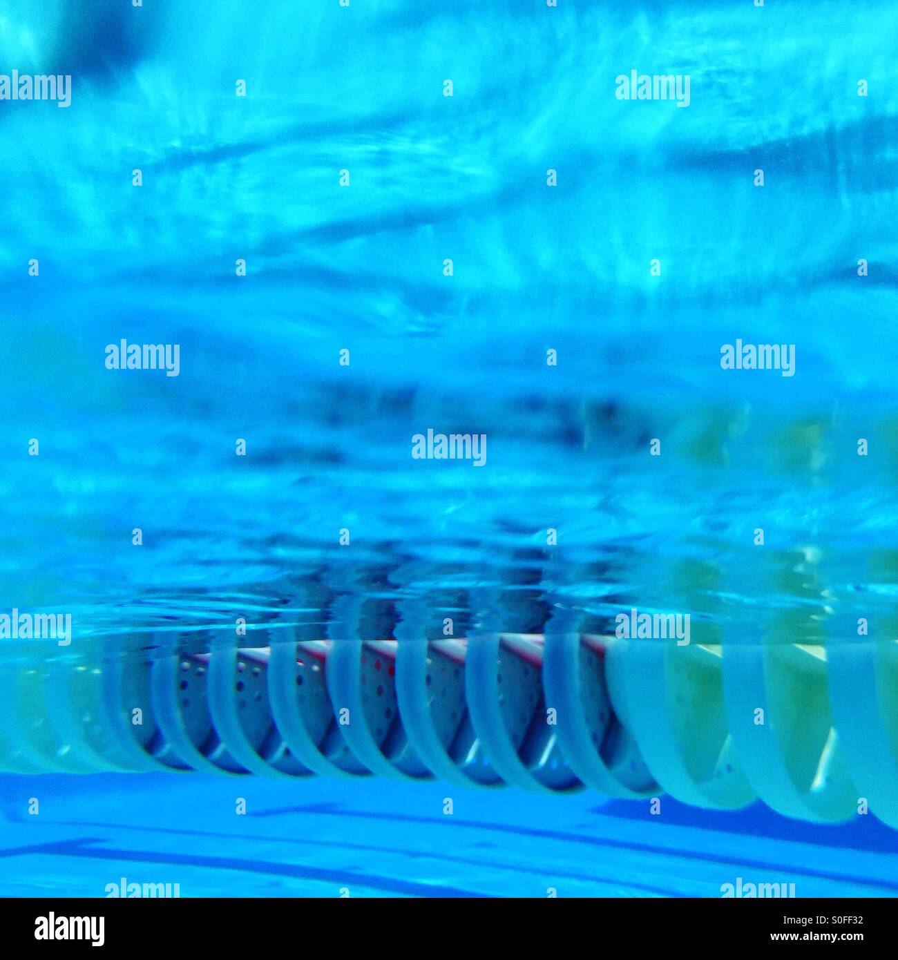 Vue sous-marine d'une piscine 25 mètres piscine olympique ligne de couloir. Californie, USA. - Image de stock capturée avec un smartphone