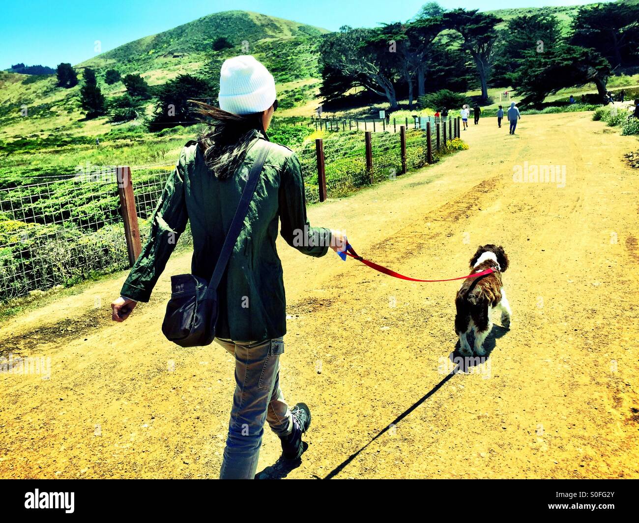 La promenade du chien sur un ciel bleu ensoleillé le long de la journée des sentiers côtiers à Pacifica, Californie, USA. - Image de stock capturée avec un smartphone