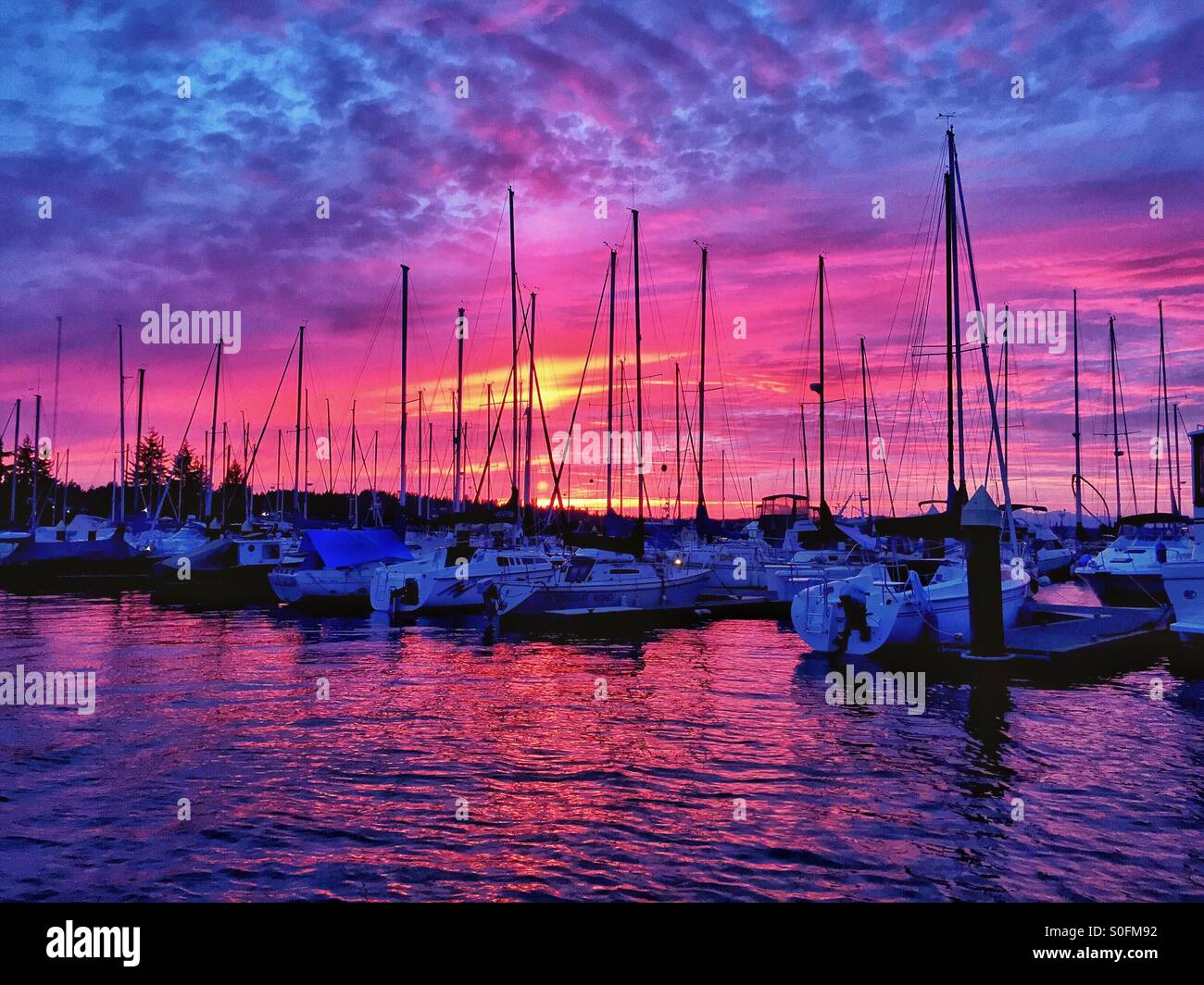 Incroyable coucher de soleil couleurs paint the sky dans une marina dans le nord-ouest du Pacifique. Banque D'Images