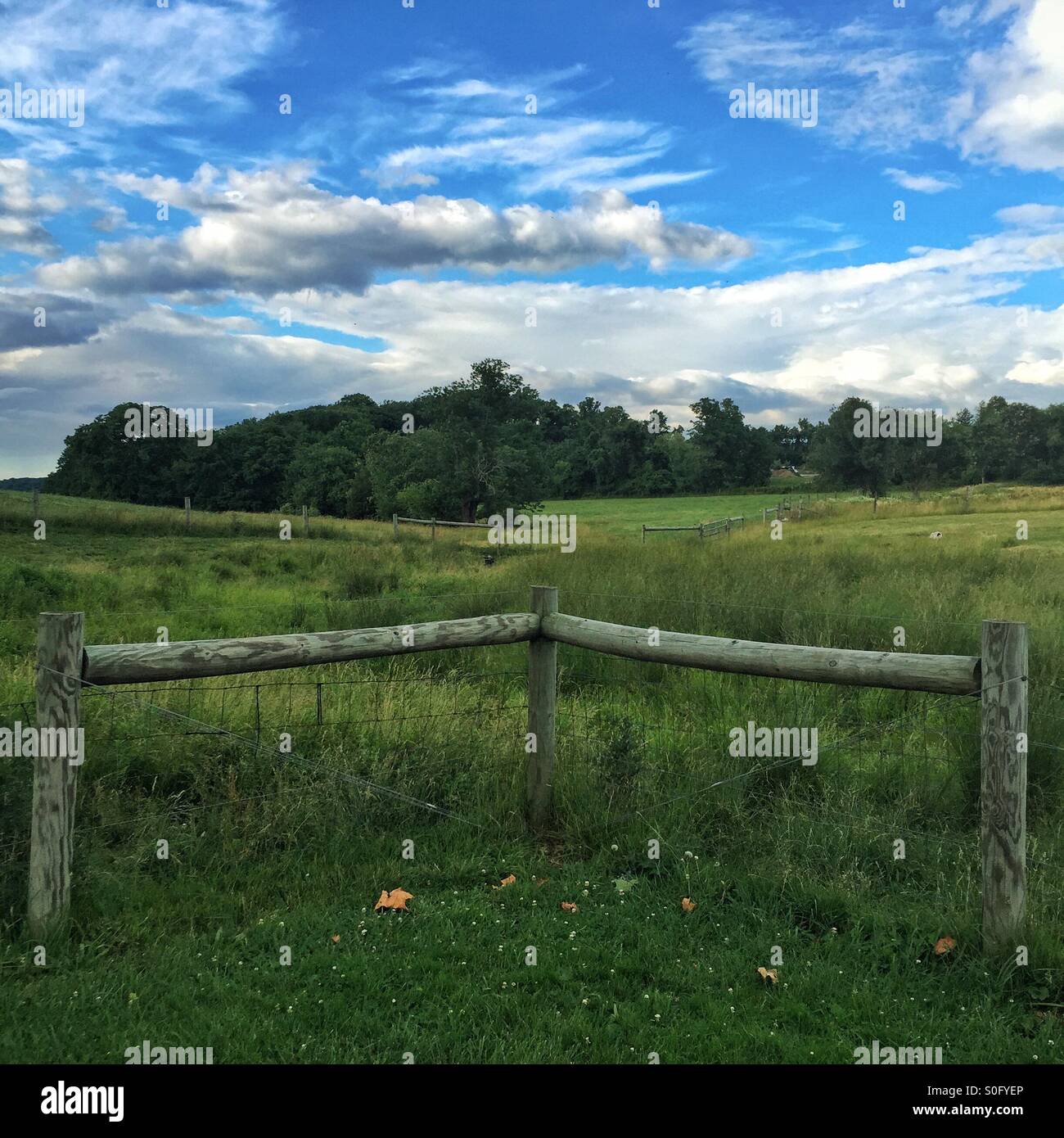 Clôture sur la ferme Banque D'Images