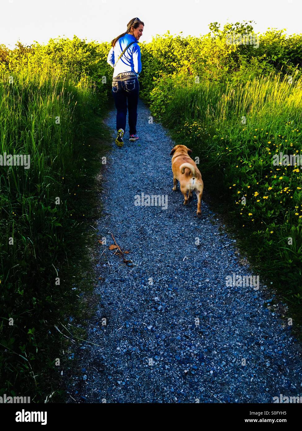 Femme - Image de stock capturée avec un smartphone