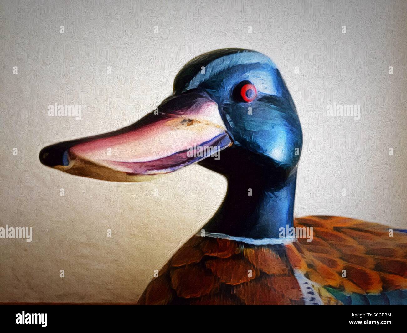 Vintage Duck Decoy Banque D'Images