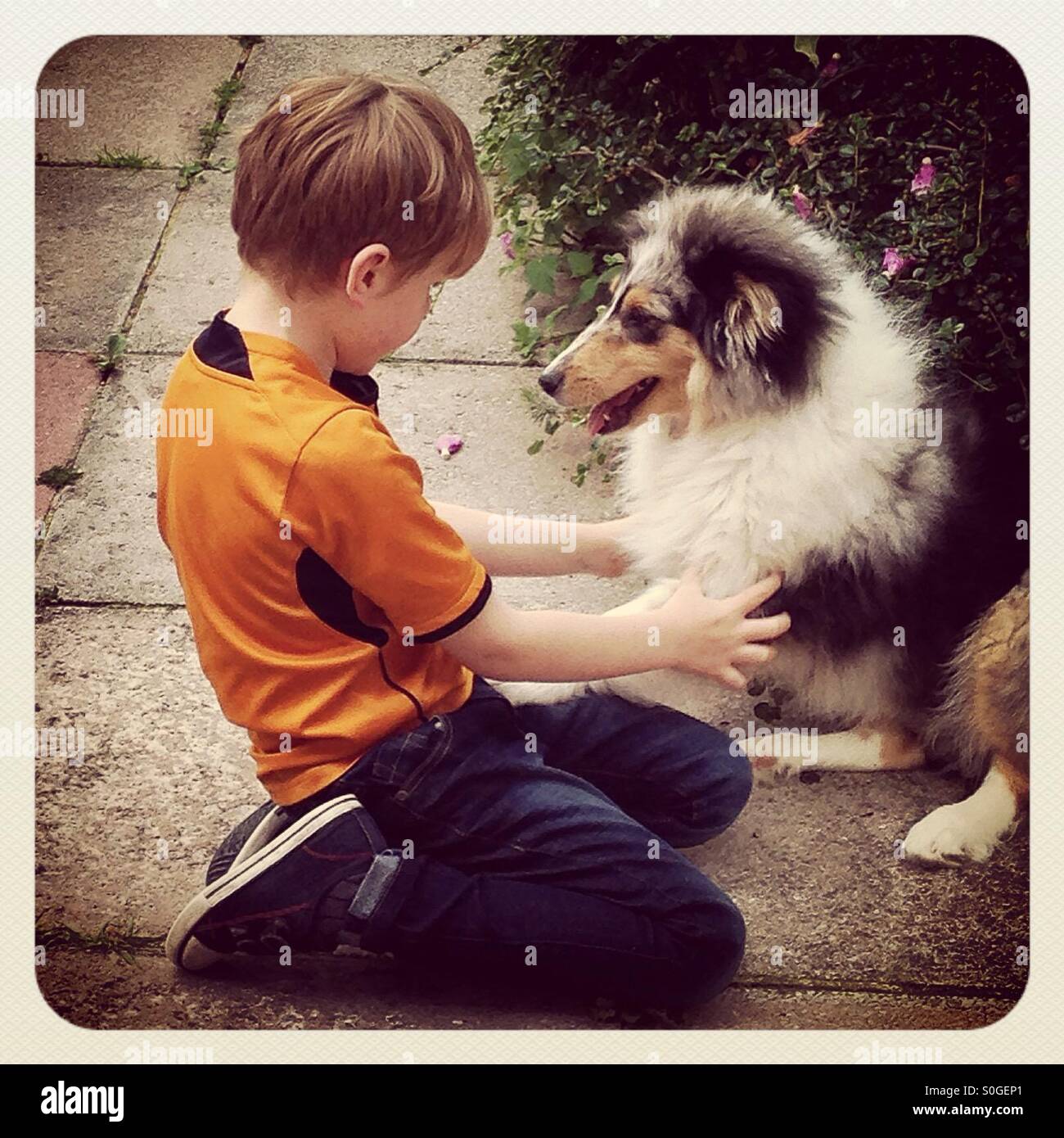 Meilleurs amis. Un garçon et son chien. Banque D'Images