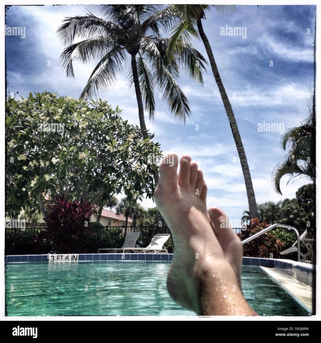 Pieds dans une piscine tropicale avec palmiers, Naples, FL Banque D'Images