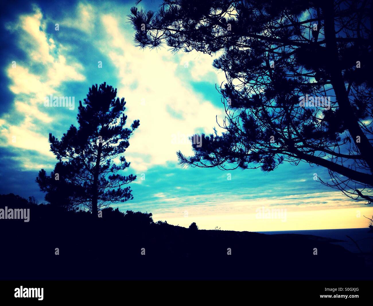 Dans l'ombre des arbres Banque D'Images