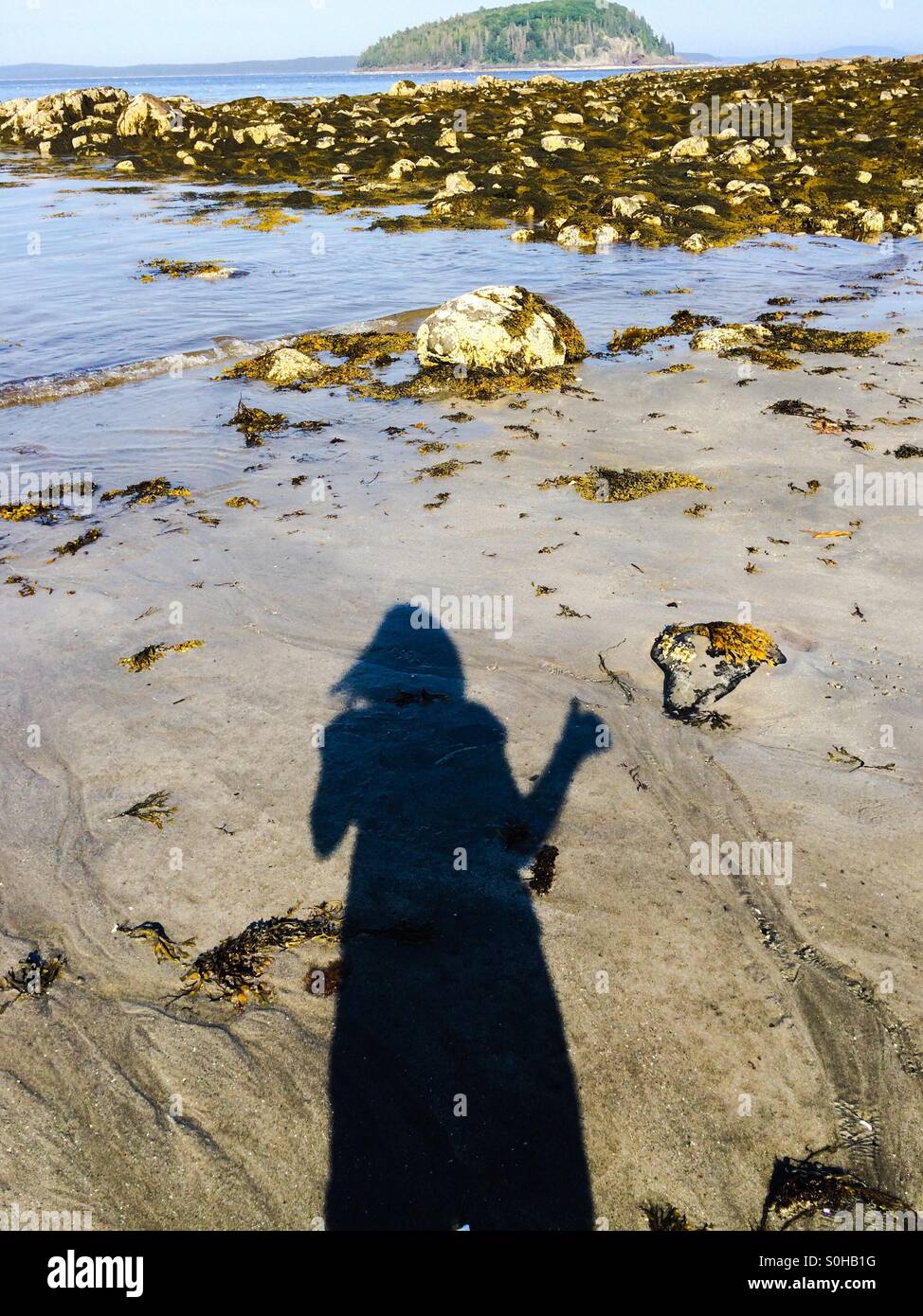 Mon ombre donne un martèlement (AIME) à Bar Harbor, Maine - Image de stock capturée avec un smartphone