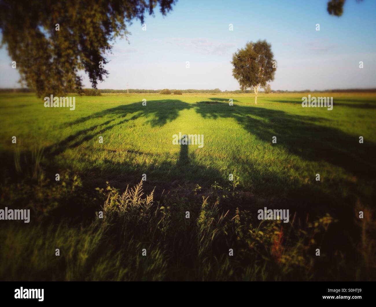 De longues ombres dans le Nord de l'Allemagne sur un jour d'été chaud et ensoleillé Banque D'Images