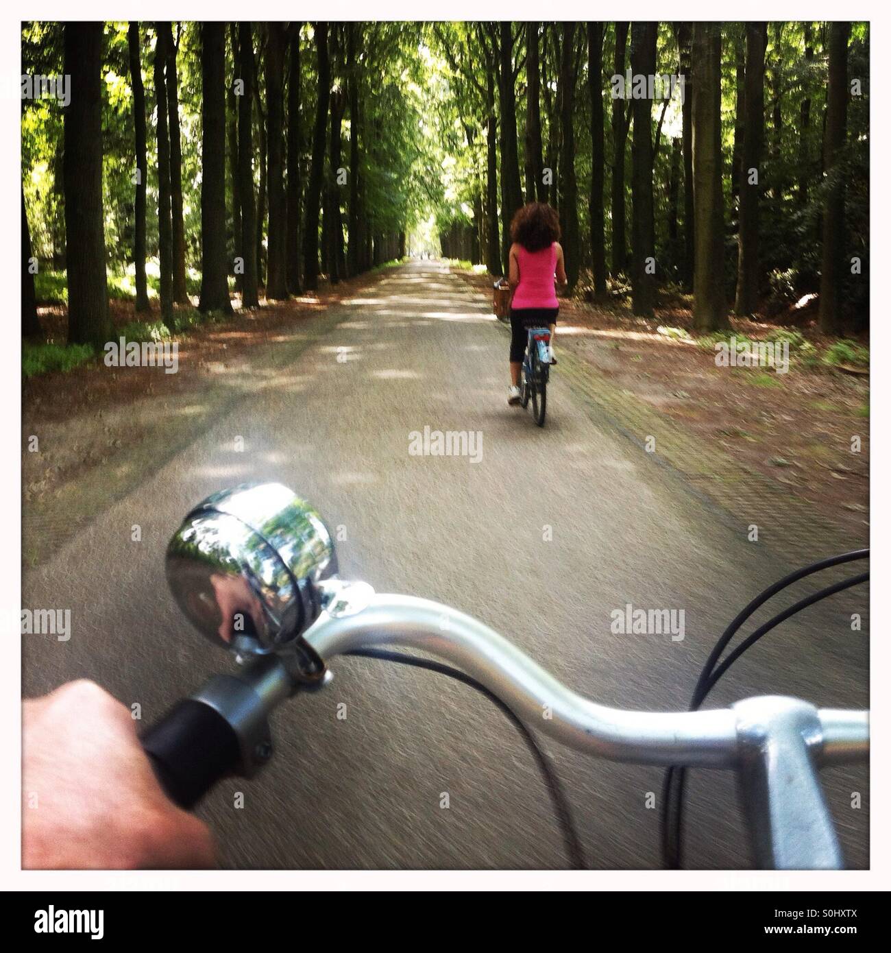 Faire une balade à vélo dans une forêt Banque D'Images