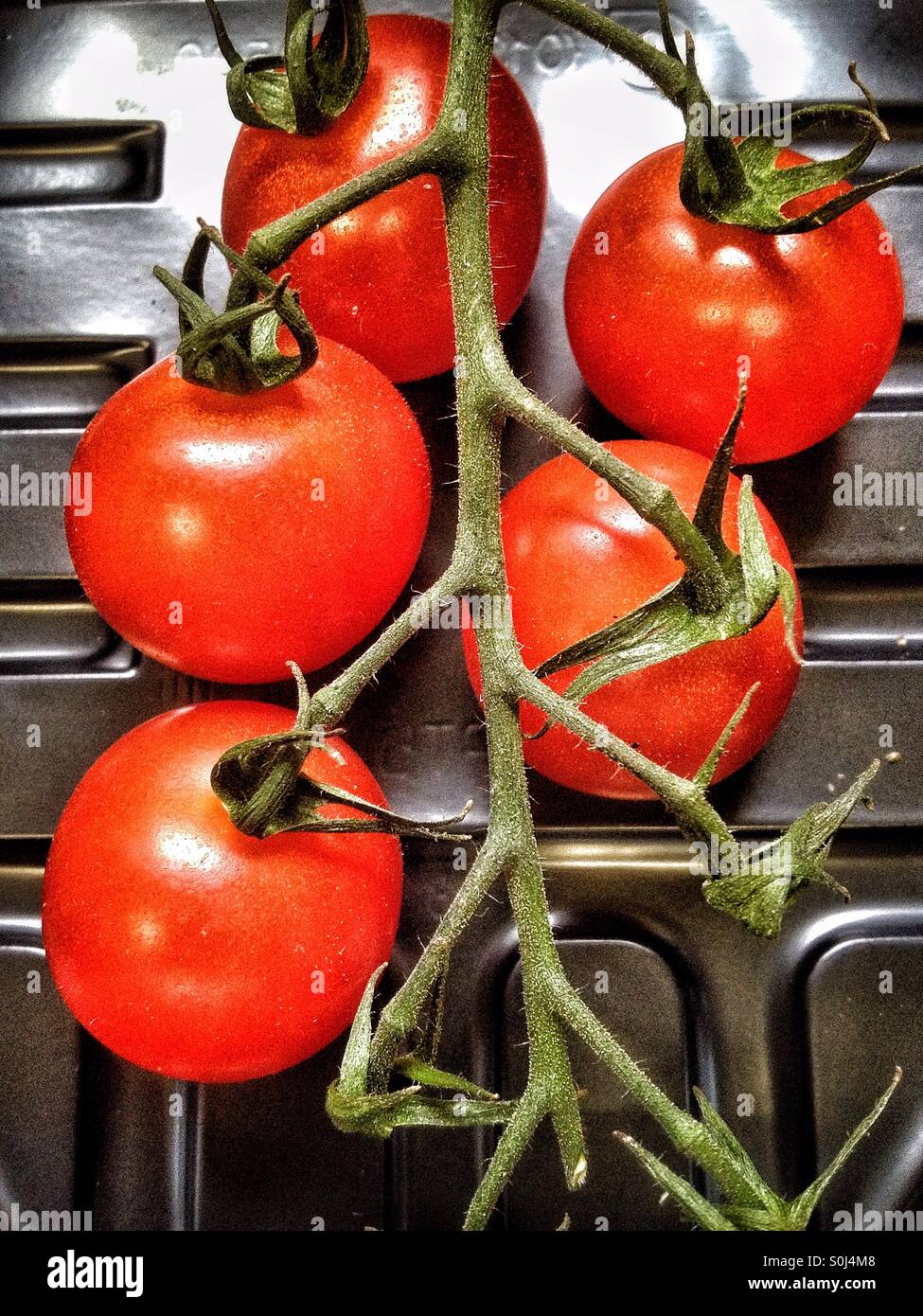 Les tomates de vigne du supermarché dans le plateau en plastique Banque D'Images