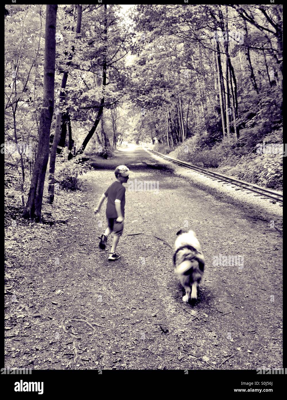Garçon et son chien marcher le long d'un chemin forestiers. Banque D'Images