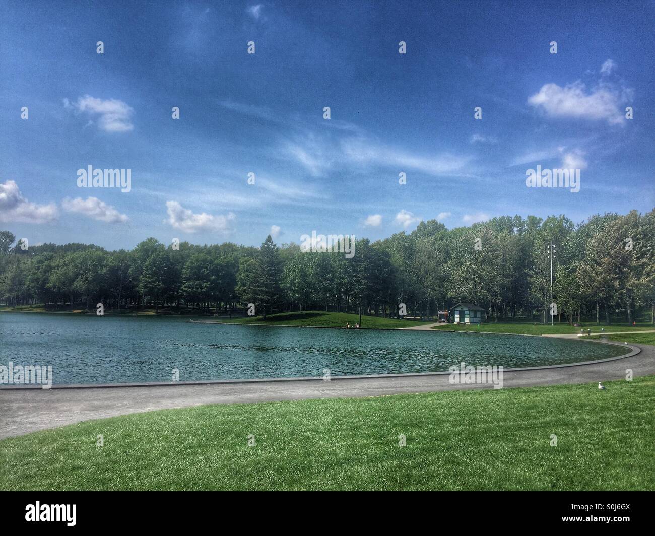 Le mont Royal, Montréal, QC, Canada - Image de stock capturée avec un smartphone