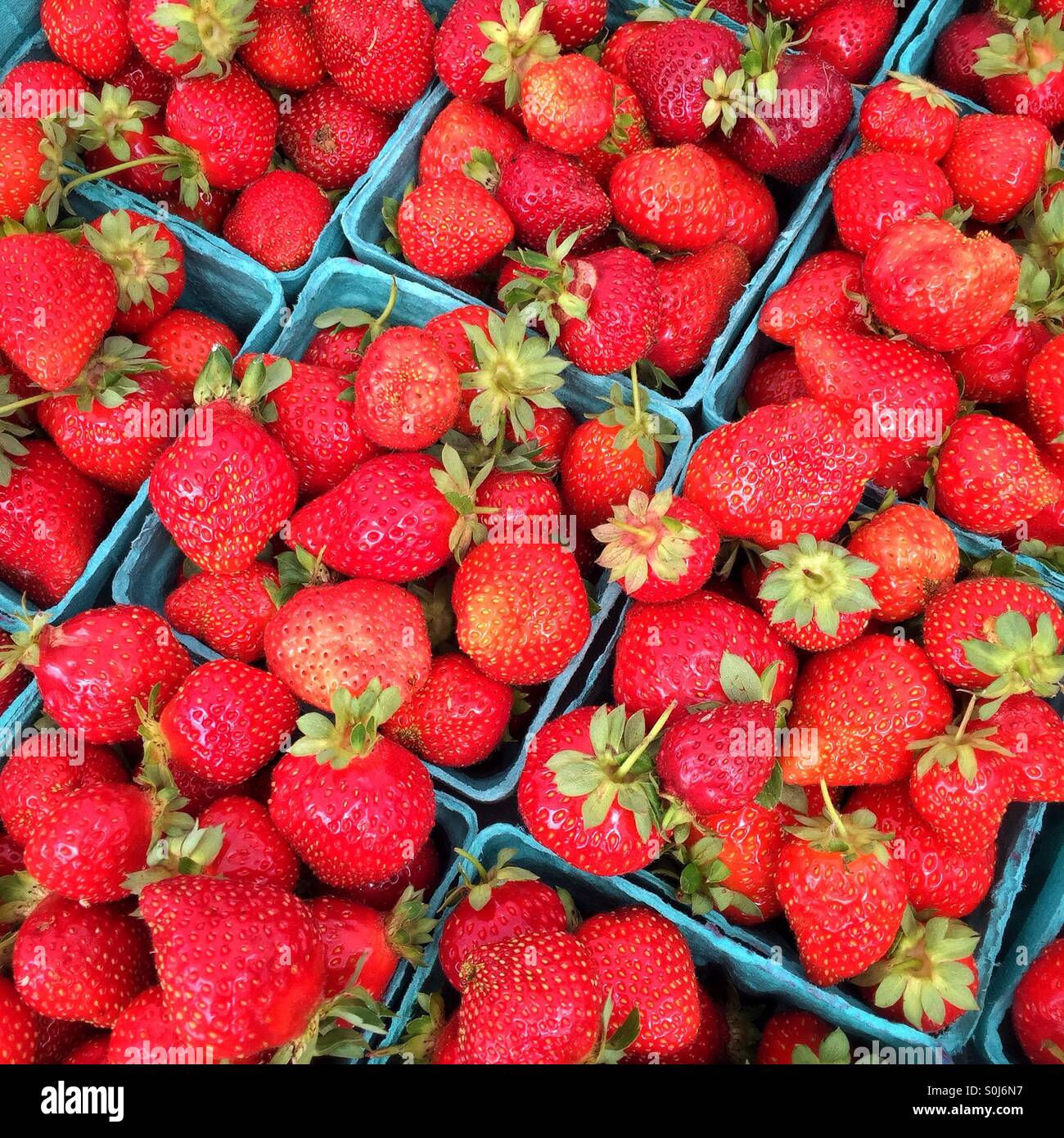 Fraises fraîches au marché de fermiers à Eugene, Oregon, USA. - Image de stock capturée avec un smartphone