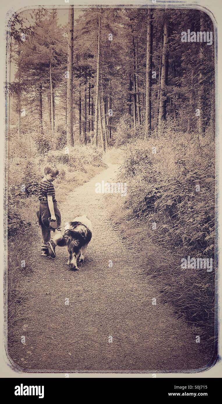 Garçon et chien sur un bois à pied Banque D'Images