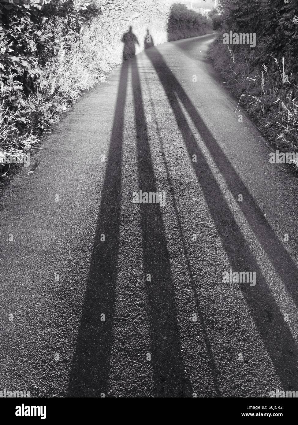 De longues ombres de 2 personnes, une avec un bâton de marche , sur une route Banque D'Images
