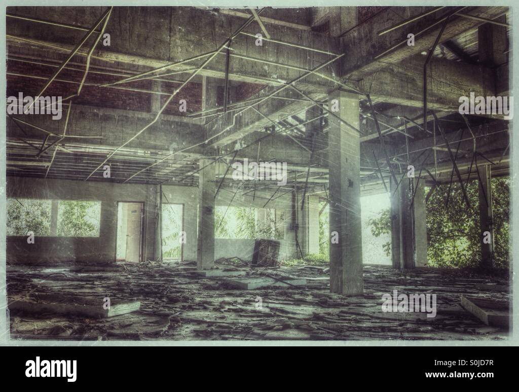 Abandonnés dans la forêt. Banque D'Images