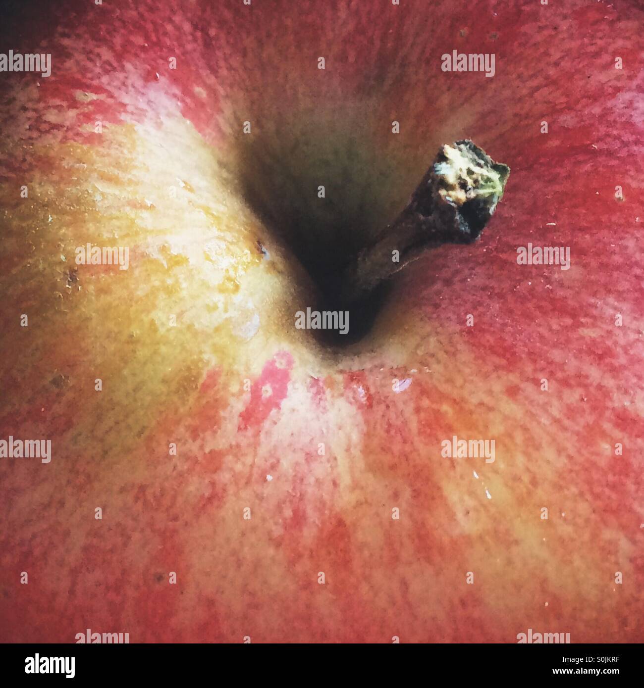 Libre d'une pomme rouge - Image de stock capturée avec un smartphone