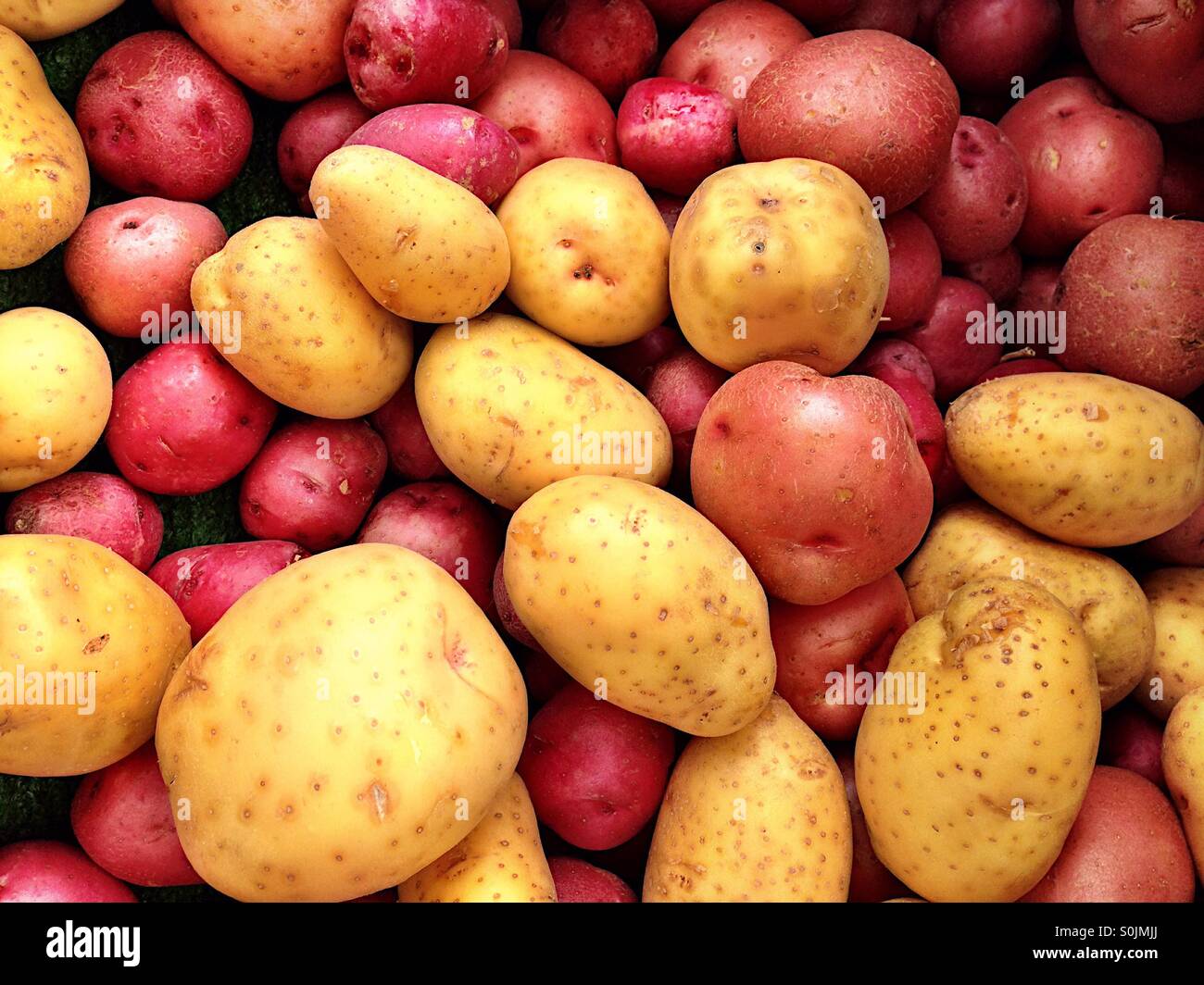 Pommes de terre rouges et blanches Banque D'Images