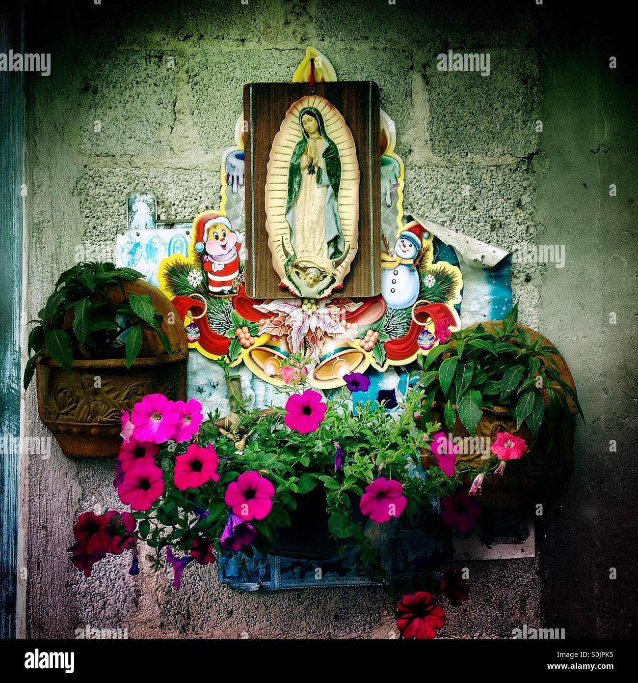 Des fleurs décorent un autel à Notre Dame de Guadalupe en Cuetzalan, Sierra Madre de Puebla, Mexique - Image de stock capturée avec un smartphone