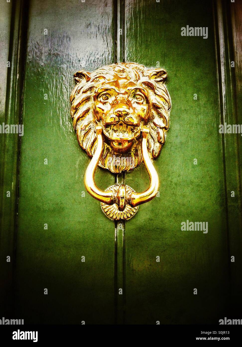 Cogneur de porte à tête de lion en gros plan - Image de stock capturée avec un smartphone