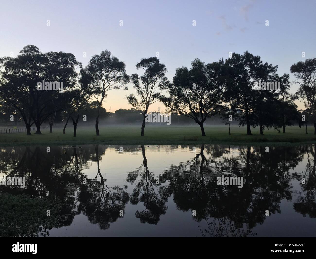 Parc de Sydney water reflections Banque D'Images