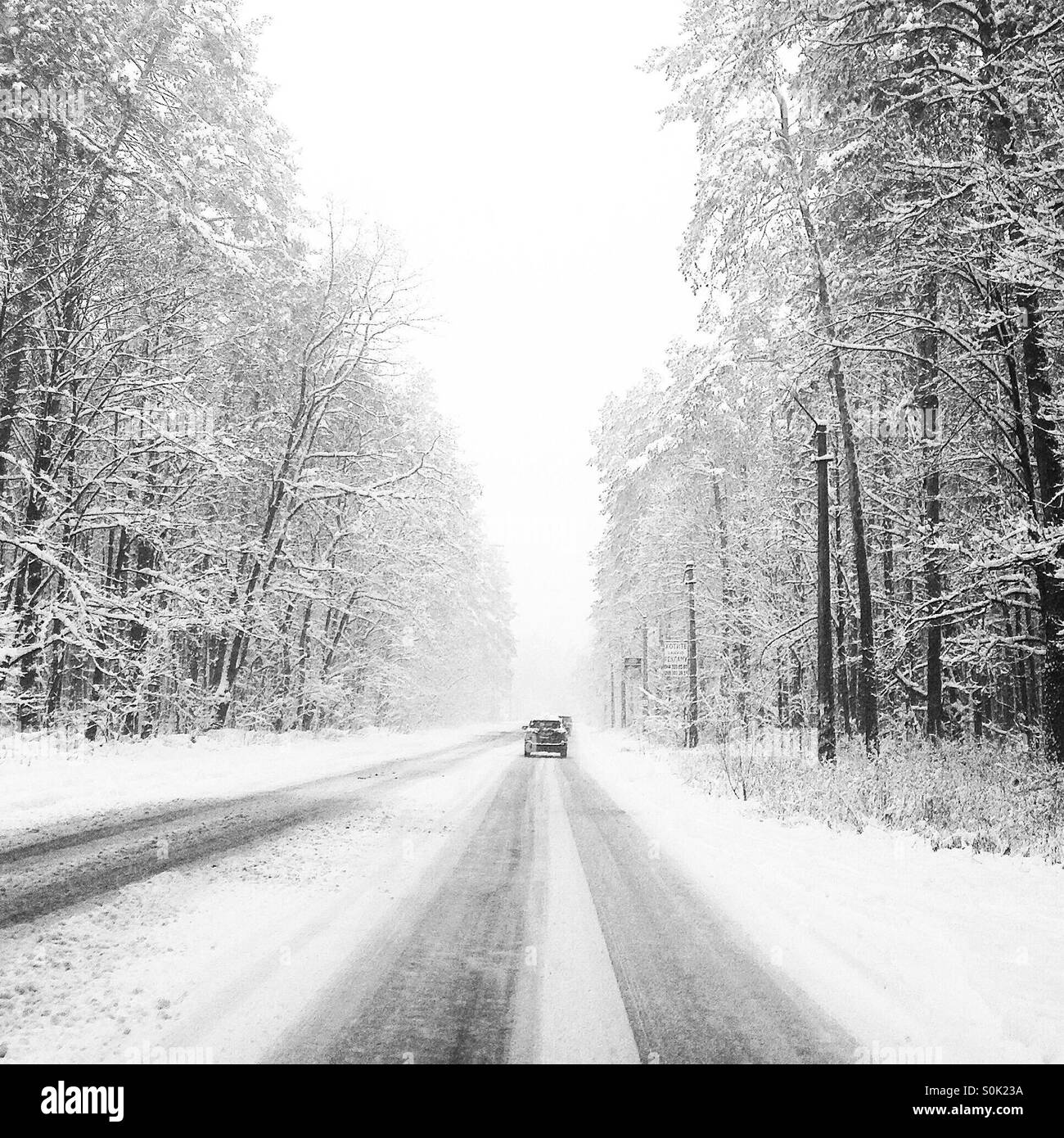 Voiture est sur la route de la neige et des arbres dans la neige Banque D'Images