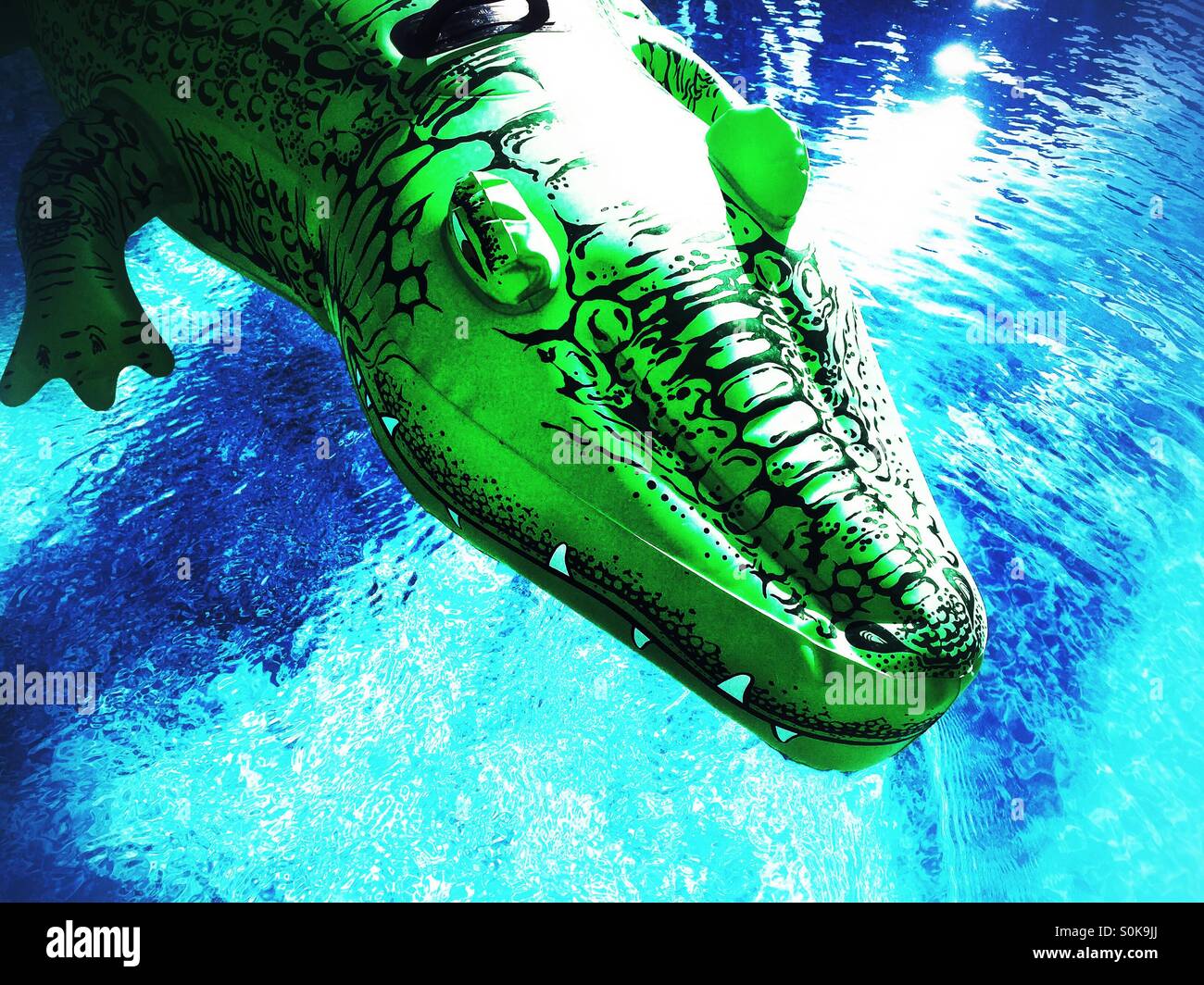 Des dents blanches en avant plan sur ce jouet gonflable alligator flottant sur l'eau. Banque D'Images