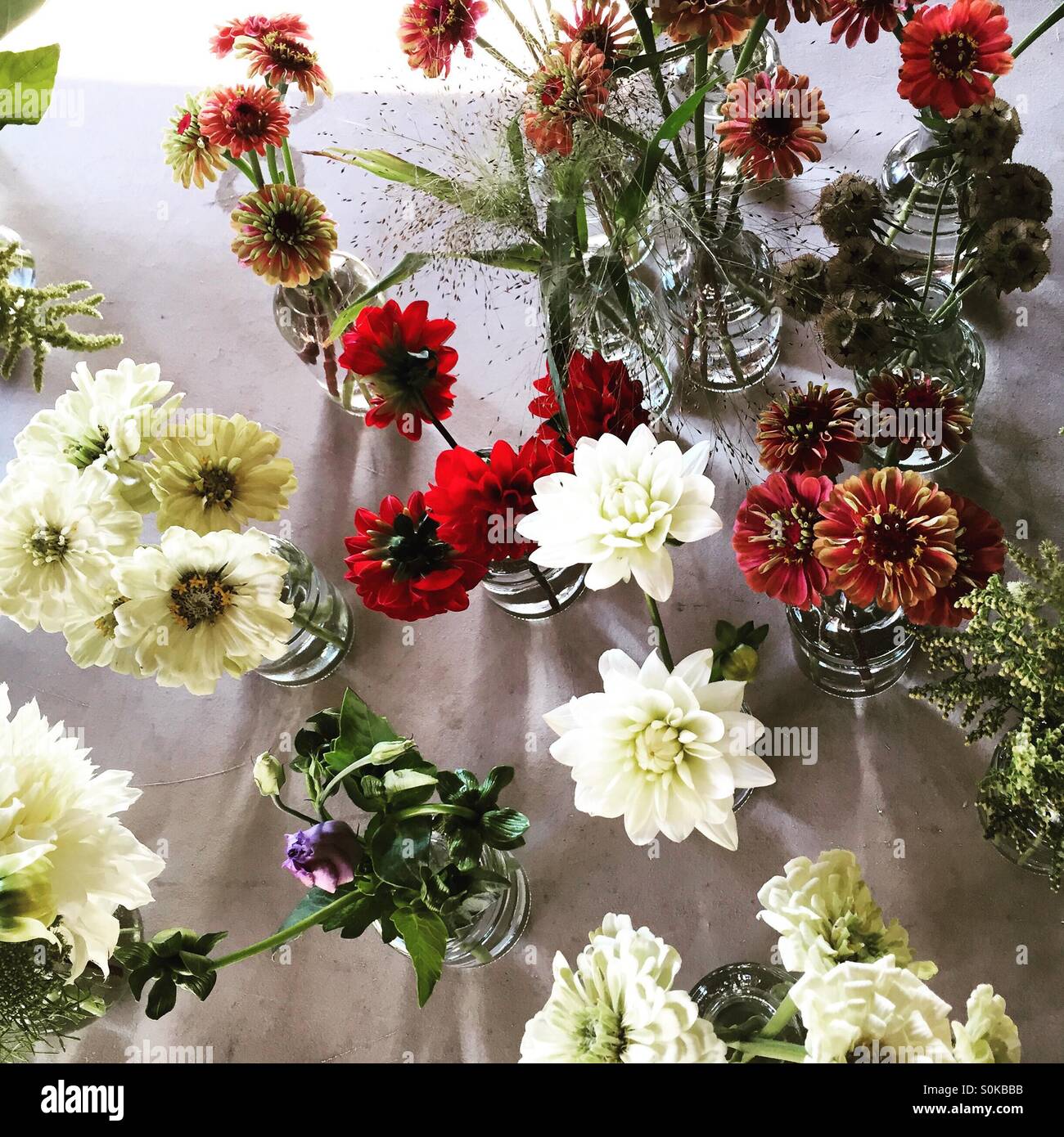 Florals by design Banque D'Images