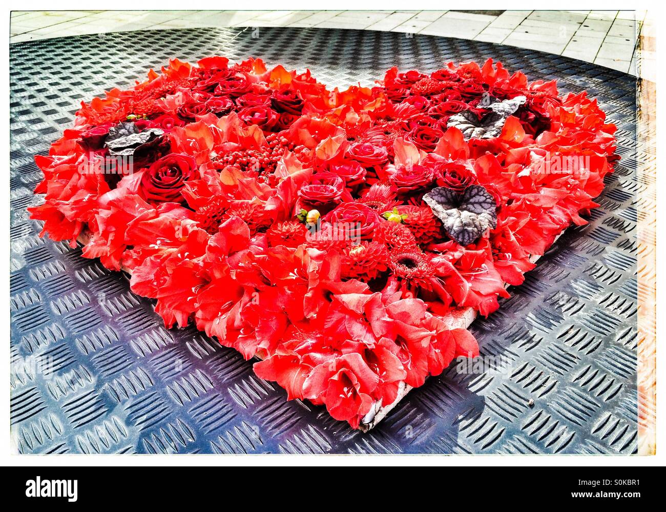Coeur de fleurs Banque de photographies et d’images à haute résolution