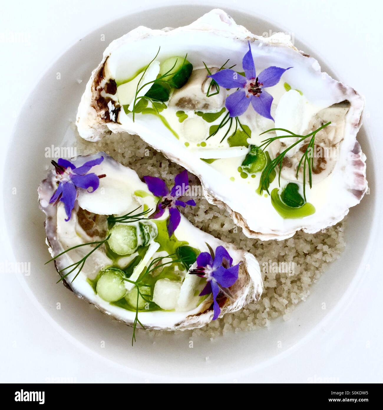 Huîtres avec des fleurs. Gros sel lit sous Banque D'Images
