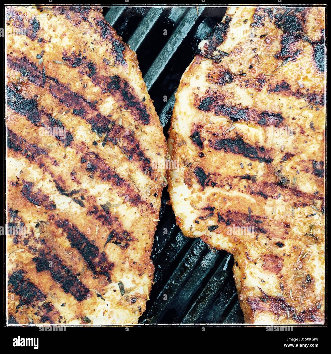 Close-up de parures de poitrines de poulet grillées sur barbecue Banque D'Images