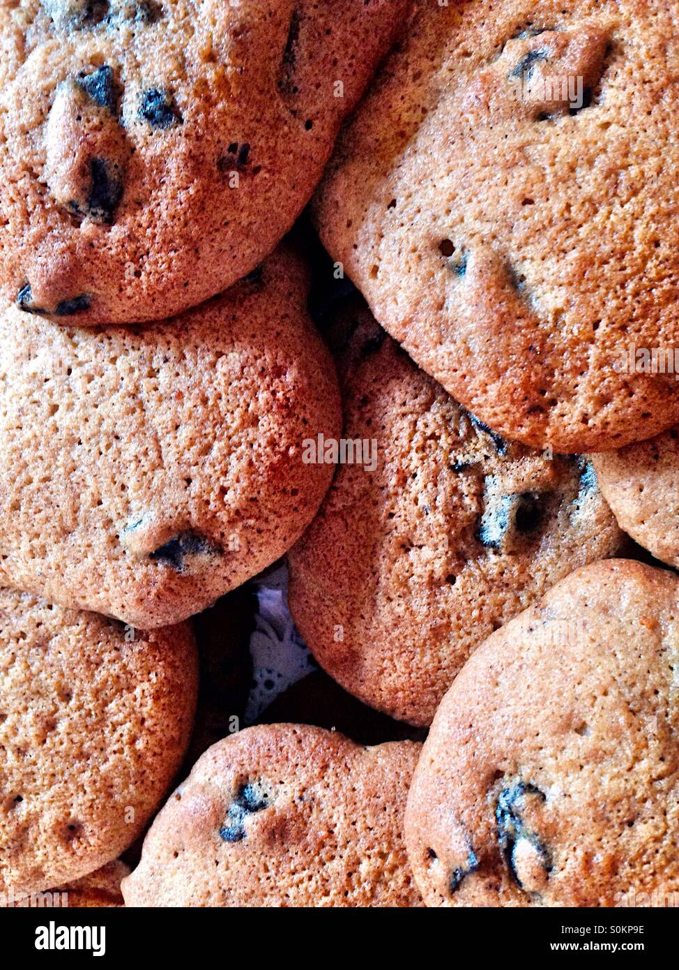 Libre, morceaux de chocolat, les cookies à la citrouille Banque D'Images