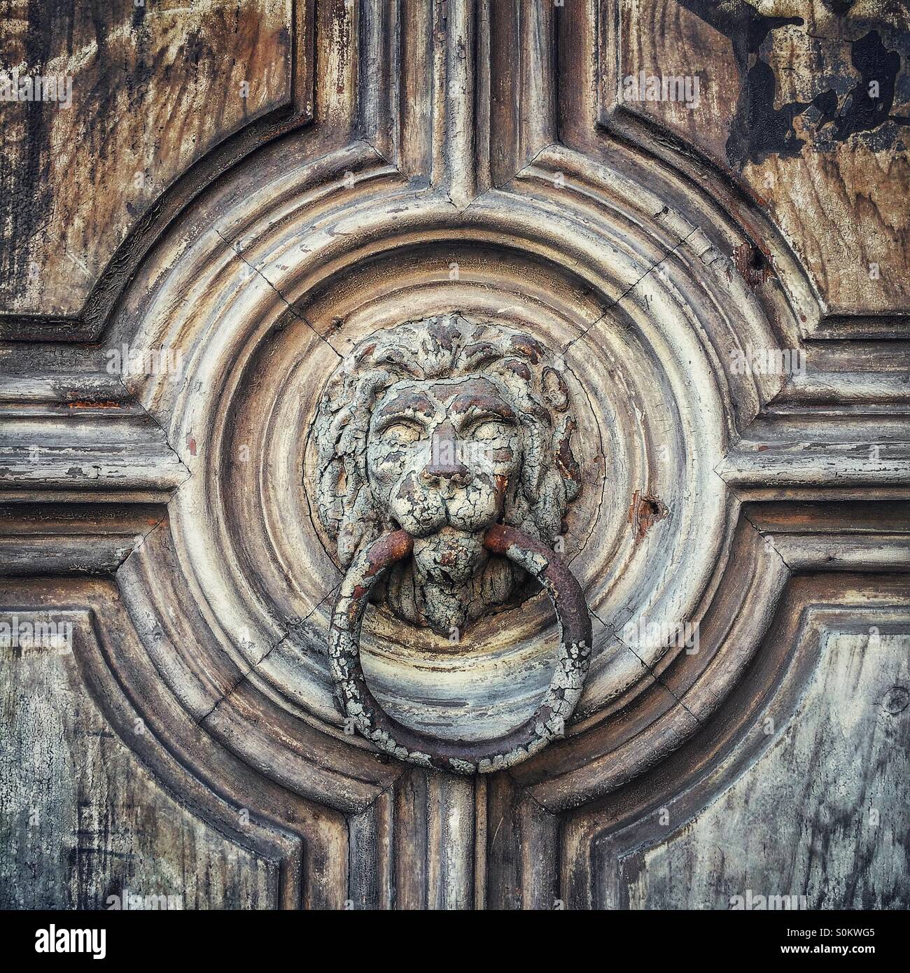 Tête de Lion heurtoir, Vienne, Autriche - Image de stock capturée avec un smartphone
