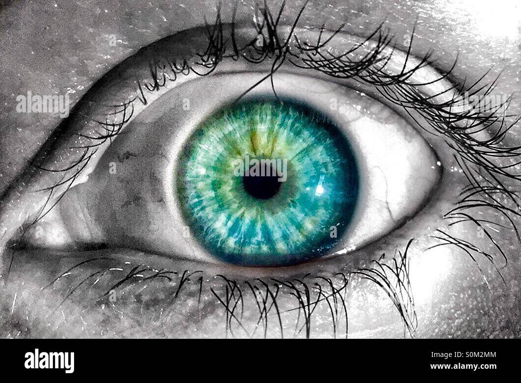 Oeil bleu vert Banque de photographies et d’images à haute résolution — free download