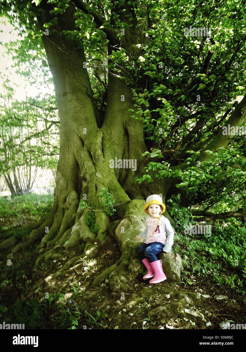 Petite fille par grand arbre Banque D'Images