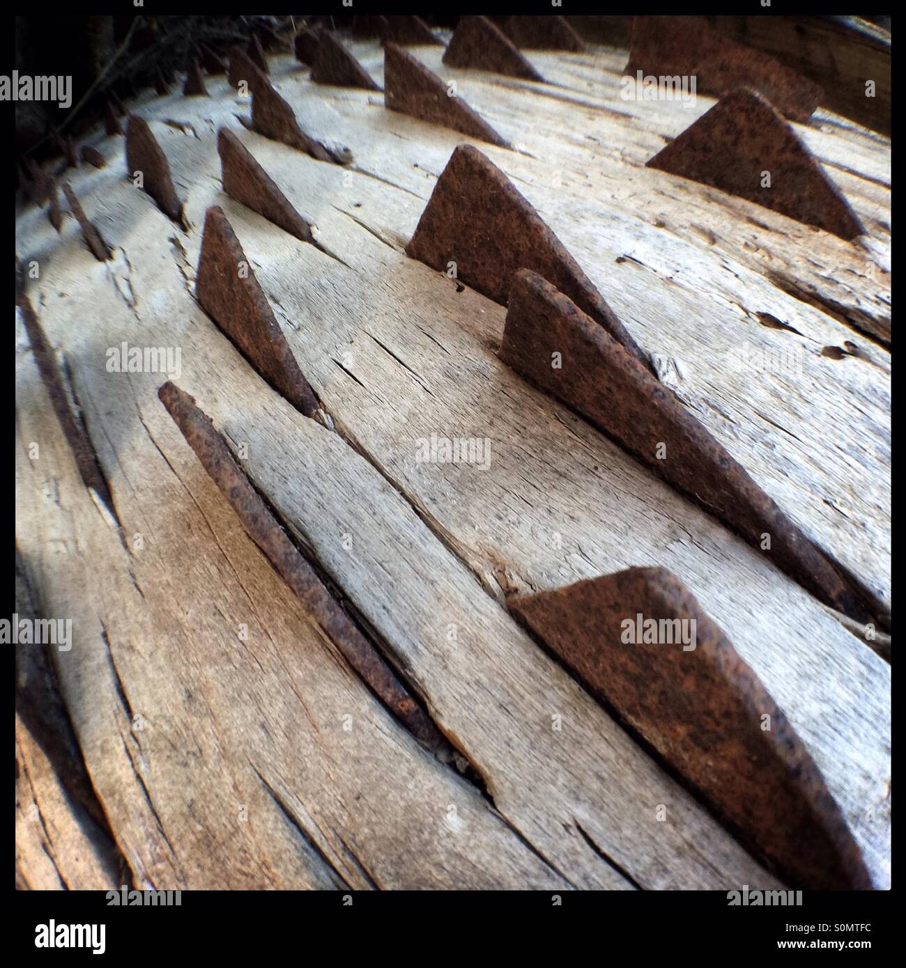 La mise en œuvre de la ferme antique pour le battage du blé, Catalogne, Espagne. Banque D'Images